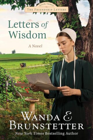 9781636096223 Letters Of Wisdom