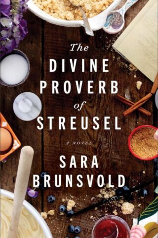 9780800742997 Divine Proverb Of Streusel