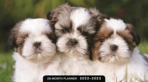 0081983736575 Puppies 2022 2023 28 Month Planner