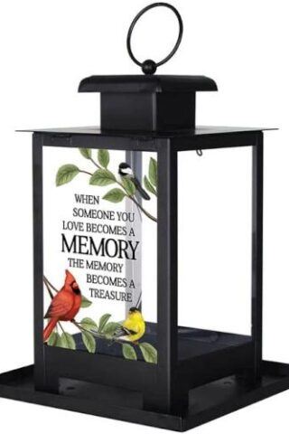 096069571834 Memory Bird Feeder