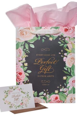 1220000138322 Every Good And Perfect Gift Large With Card And Tissue