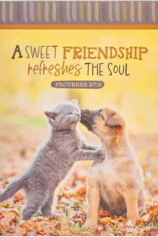 6006937160835 Sweet Friendship Refeshes The Soul Notepad Fall Puppy And Kitten Proverbs 2