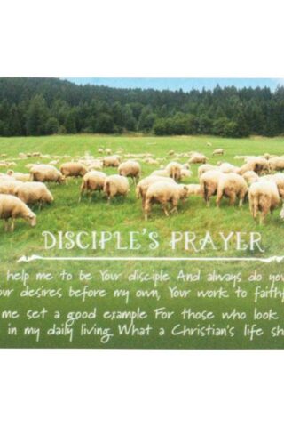 603799325622 Disciples Prayer