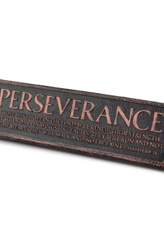 667665115861 Perseverance Desktop Reminder Plaque