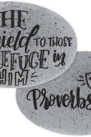 798890171756 He Is A Shield To Those Who Take Refuge In Him Proverbs 30:5 Pocket Stone