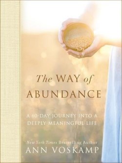 9780310350316 Way Of Abundance