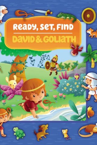 9780310759768 Ready Set Find David And Goliath