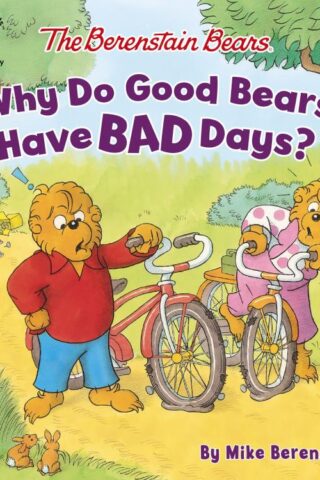 9780310763703 Berenstain Bears Why Do Good Bears Have Bad Days