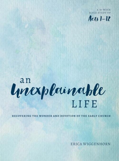 9780802414731 Unexplainable Life : Recovering The Wonder And Devotion Of The Early Church