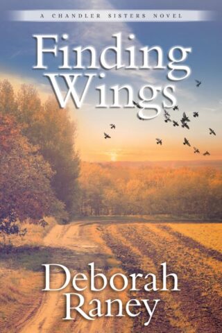 9780825446702 Finding Wings