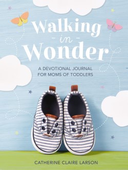 9781400236152 Walking In Wonder