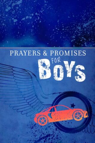 9781424556601 Prayers And Promises For Boys