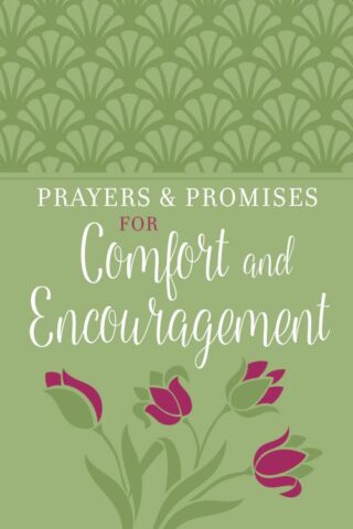 9781424559176 Prayers And Promises Of Comfort And Encouragement