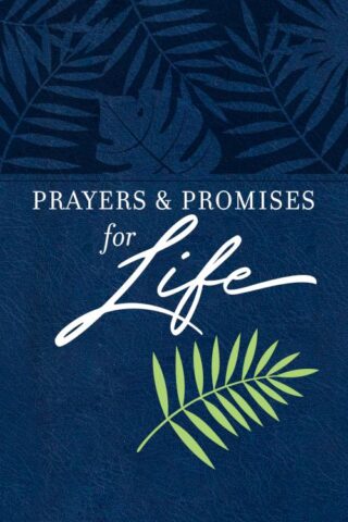 9781424562640 Prayers And Promoses For Life