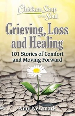 9781611590876 Chicken Soup For The Soul Grieving Loss And Healing