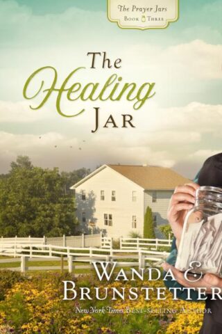 9781640912496 Healing Jar (Audio CD)