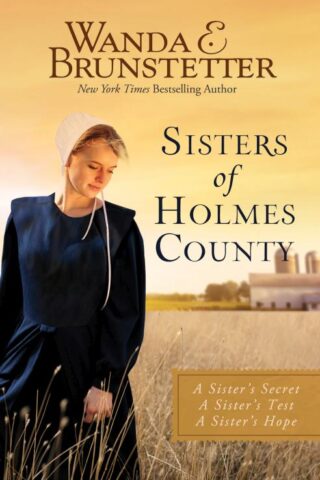 9781643524177 Sisters Of Holmes County Trilogy