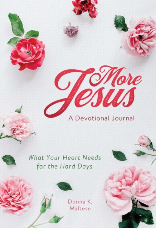 9781643528991 More Jesus A Devotional Journal