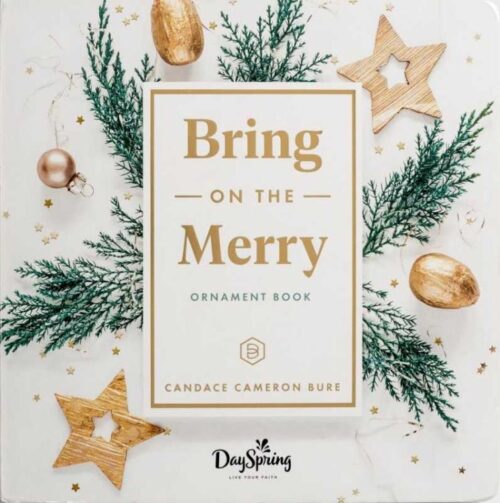 9781648708121 Bring On The Merry Ornament Book