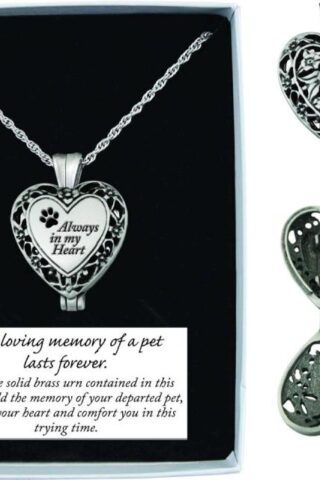 785525254113 Always In My Heart Paw Print Locket With Ash Holder