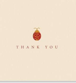 9781593591885 Ladybug Thank You Note Cards