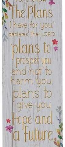 1220000136762 I Know The Plans Sunday School/Teacher Bookmark Set - Jeremiah 29:11