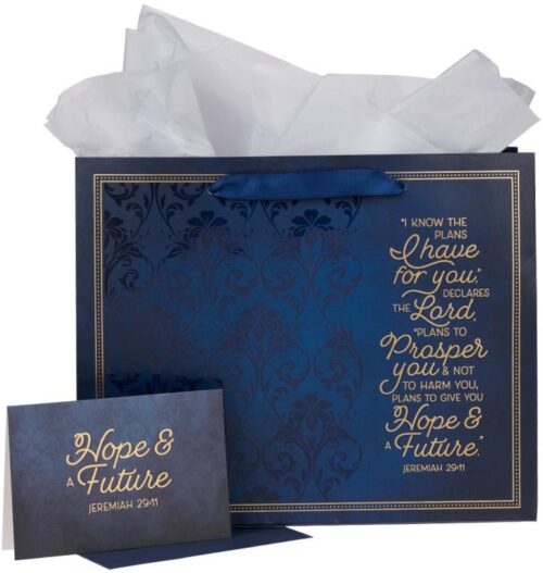 1220000320642 Decorative Landscape Gift Bag w/Card & Tissue Paper Set for Men