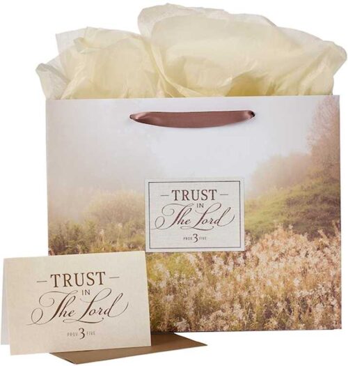 1220000320987 Large Landscape Gift Bag  for Men & Women w/Greeting Card & Tissue Paper Set: Tr
