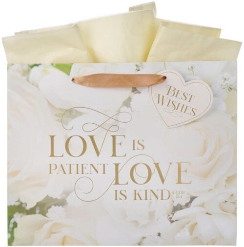 1220000325500 Large Landscape Inspirational Scripture Gift Bag