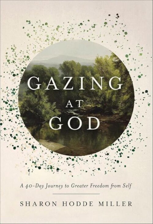 9781540904232 Gazing At God
