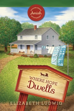 9781961125391 Where Hope Dwells