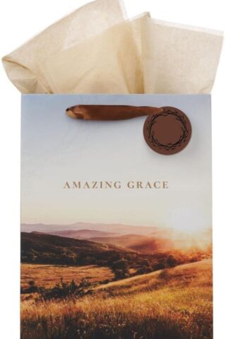 1220000328686 Large Portrait Inspirational Scripture Gift Bag