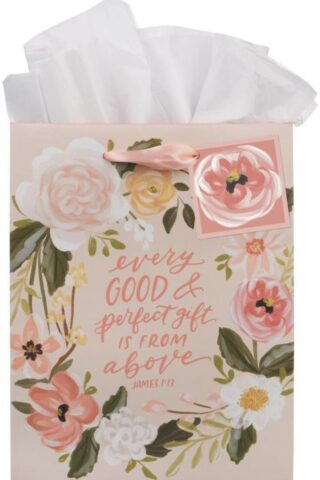 1220000329706 Medium Portrait Inspirational Scripture Gift Bag
