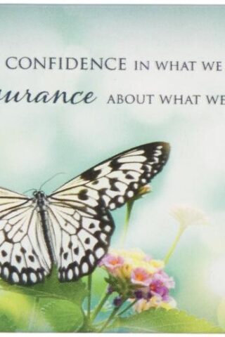 6006937113749 Faith is Confidence in What We Hope for - Butterfly Magnet