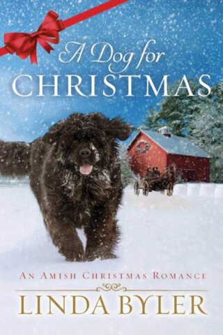 9781680997606 Dog For Christmas