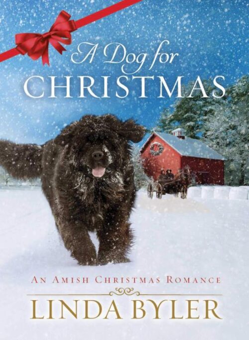 9781680997606 Dog For Christmas