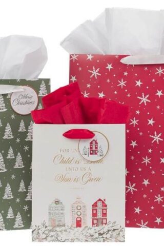 1220000328471 Three Piece Inspirational Christmas Gift Bag