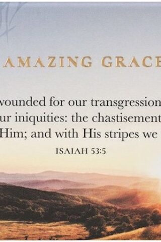 1220000720695 Amazing Grace Magnet - Isaiah 53:3