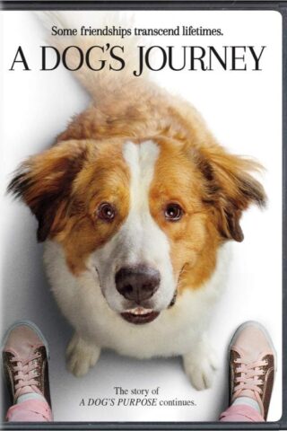 191329094211 Dogs Journey : Some Friendships Transcend Lifetimes (DVD)