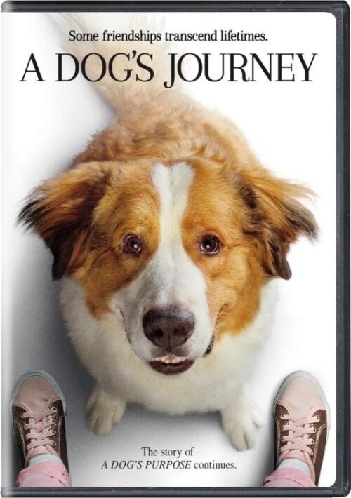 191329094211 Dogs Journey : Some Friendships Transcend Lifetimes (DVD)