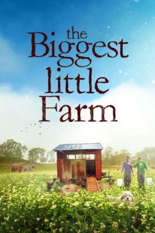 191329103319 Biggest Little Farm (DVD)