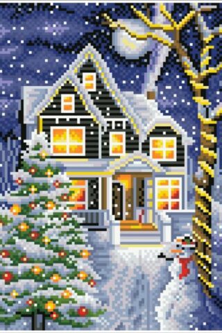 4895225925582 Diamond Dotz Christmas Night