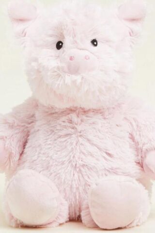5060075680328 Warmies Pig