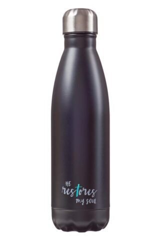 6006937135291 He Restores My Soul Stainless Steel Water Bottle