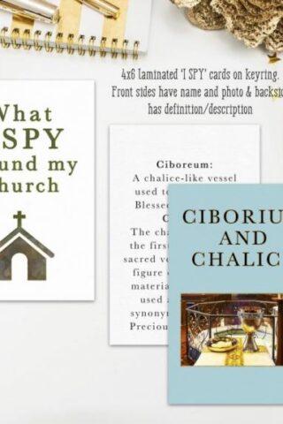 7426842716023 What I Spy Around My Church Card Set