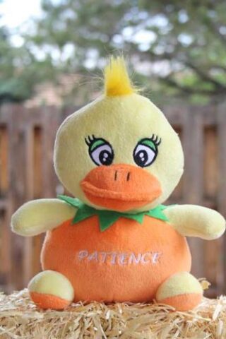 759740954622 Patience The Orange Duck