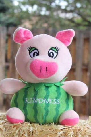 759740954639 Kindness The Watermelon Pig