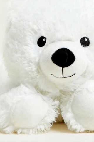 816018024149 Warmies Bear