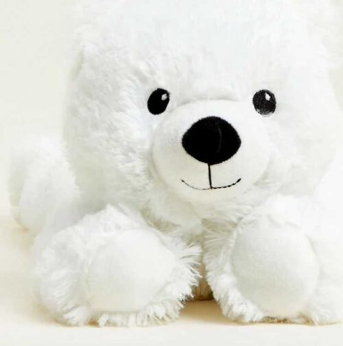 816018024149 Warmies Bear