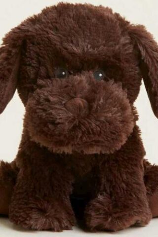 816018024668 Warmies Labrador